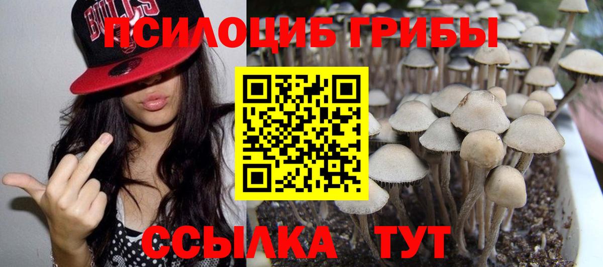 Галлюциногенные грибы ЛСД Гусев